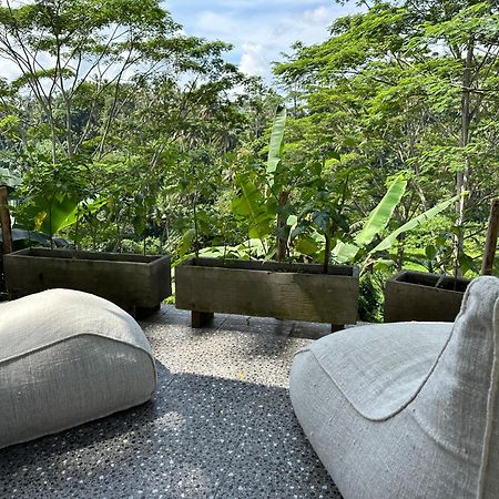 Tirta Asri Ubud Villa Luaran gambar