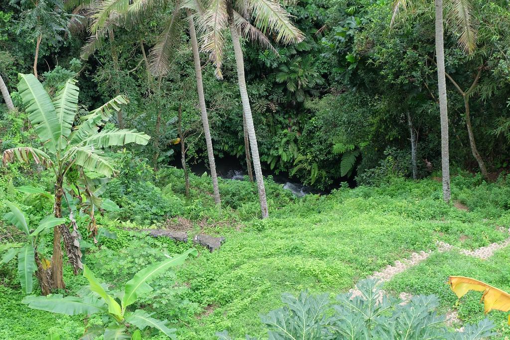 Tirta Asri Ubud Villa Luaran gambar
