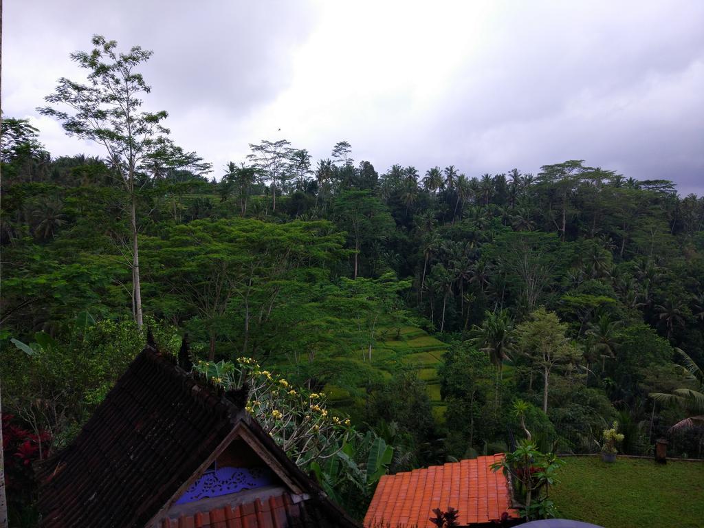 Tirta Asri Ubud Villa Luaran gambar
