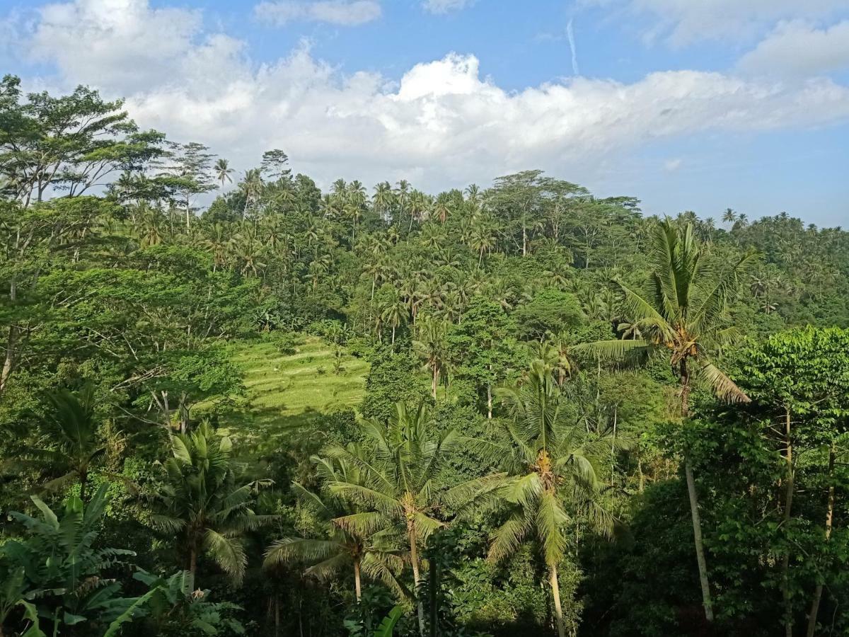 Tirta Asri Ubud Villa Luaran gambar