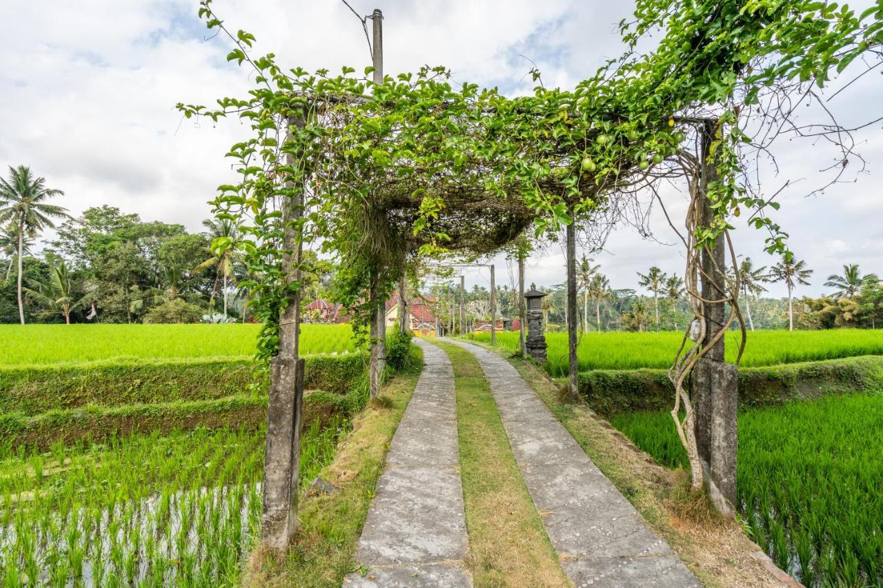 Tirta Asri Ubud Villa Luaran gambar